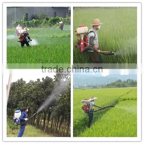 16L Knapsack 2 Stroke Gasoline Sprayer Mist Duster Sprayer Have Stock