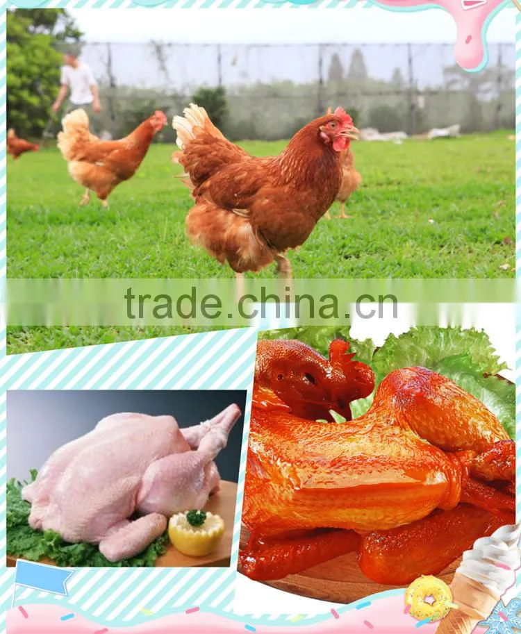 Neweek 3pcs/2min chicken cleaning duck feather unhairing machine