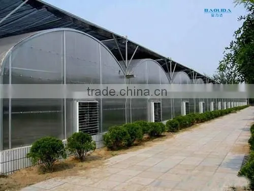 4mm polycarbonater greenhouse