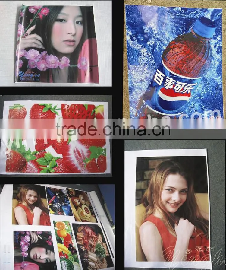 New design good quality low cost ECO solvent printer