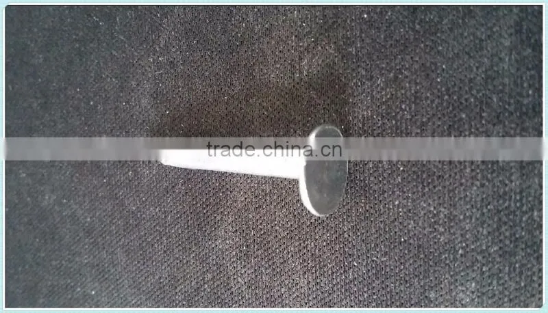 coil roofing,factory direct sale nails