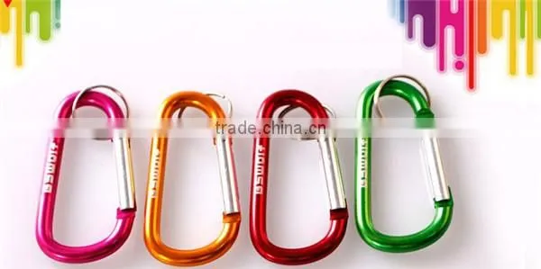 D Shape colorfulclimbing hook,metal carabiner factory