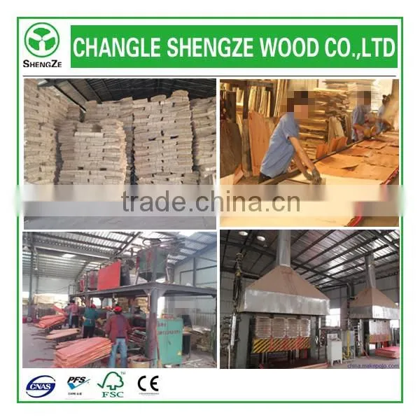 plywood Shandong Factory Direct Price Furniture