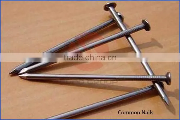 A variety of auto nail printer