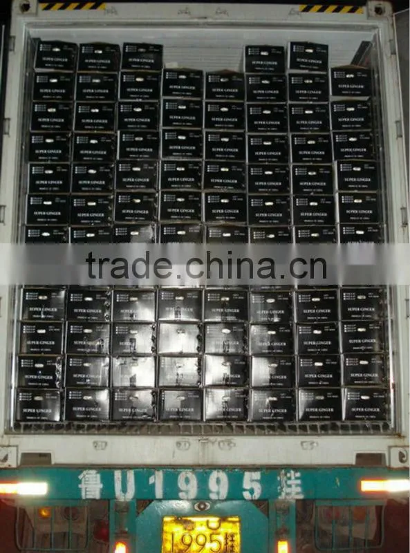 China Fresh Ginger Lowest Price