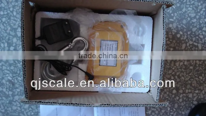 Load Capacity 100kg to 10T ocs crane scale