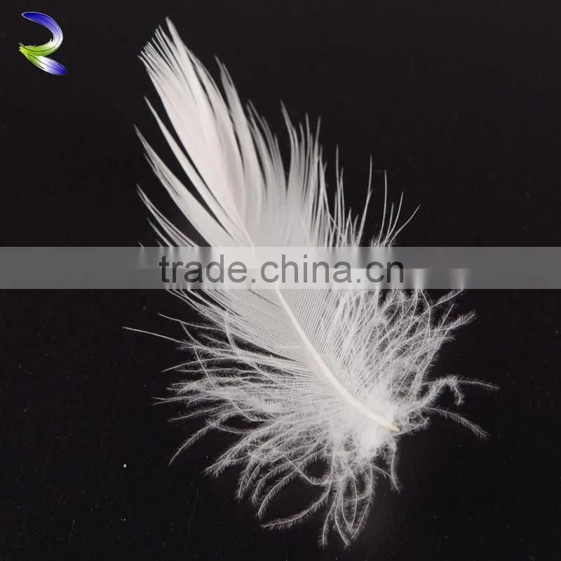 5 Star Hotel Used washed white goose feather for wholesale