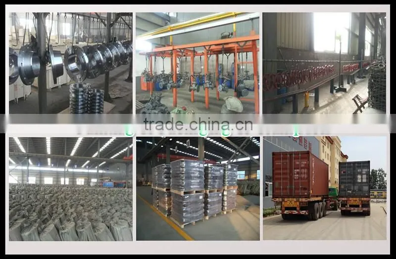 Z44T - 10 Light grade double disc grey iron gate valve