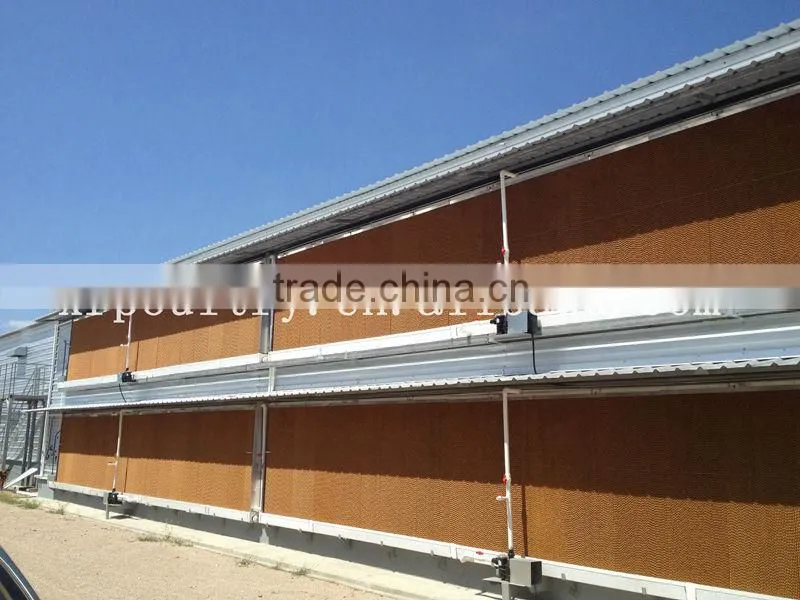 Low cost professional steel structure poultry house