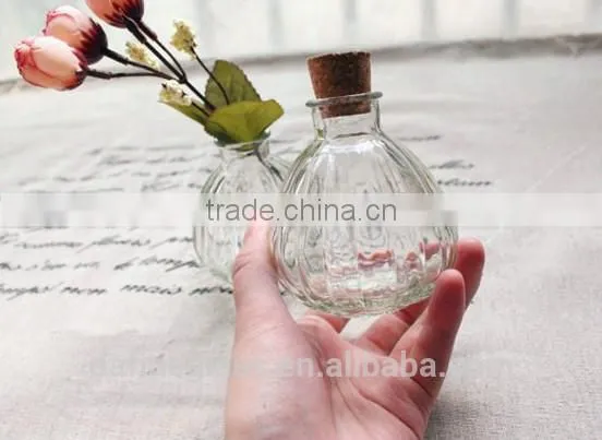 clear pumpkin wishing glass bottle,glass plant bottle with wooden cork,stopper