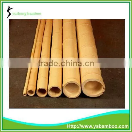 bamboo cane