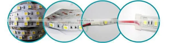 LED landscape lamp 12V flexible strip lighting indoor outdoor use