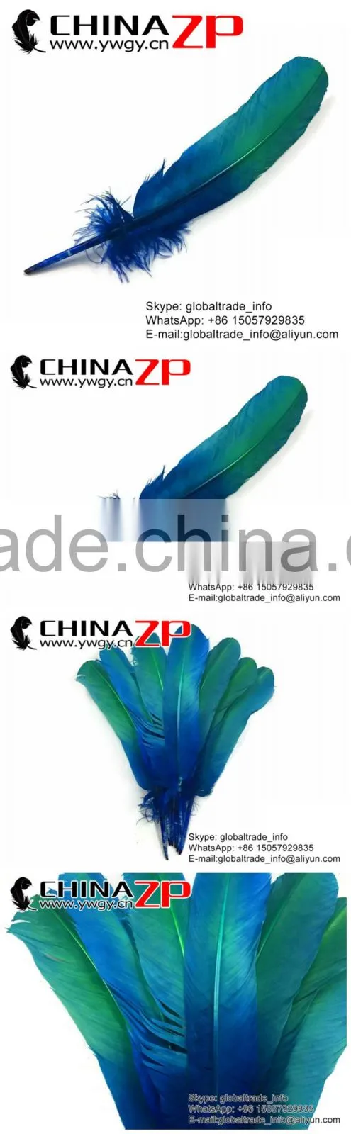 CHINAZP Natural Plumage Wonderful Quality Dyed Blue Green Ombre Bicolourable Turkey Feathers for Party Decoration