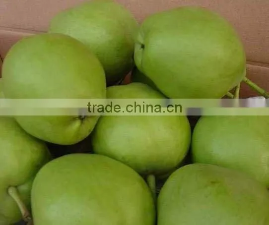 chinese ya pear