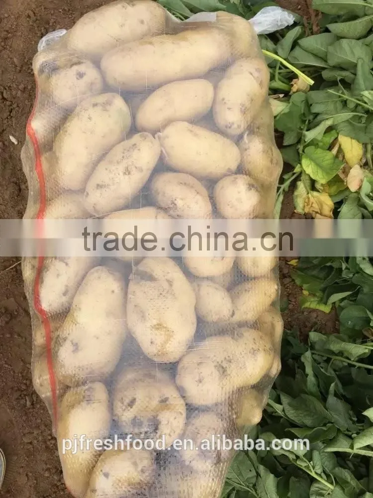 2015 Autumn Crop Potato