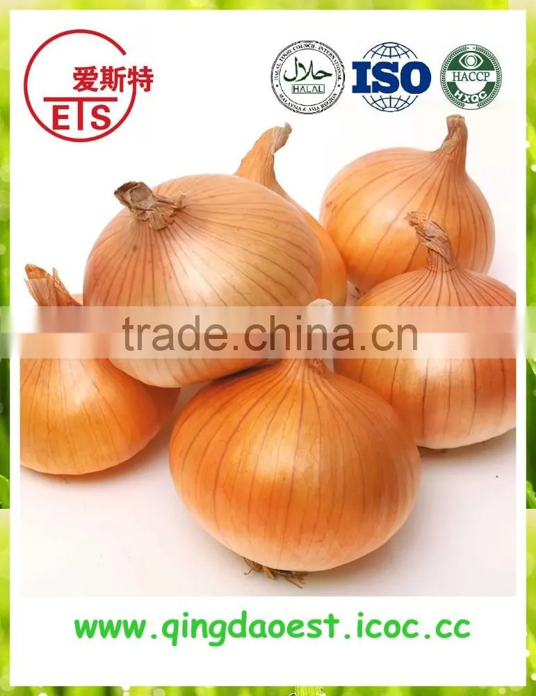 Good quality and best price hot sale fresh pure white garlic