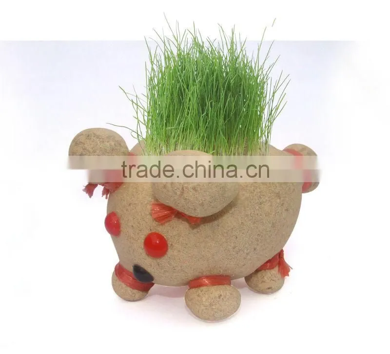 Grow-a-head Greetings