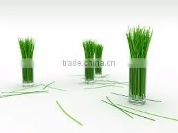 lemon grass oil