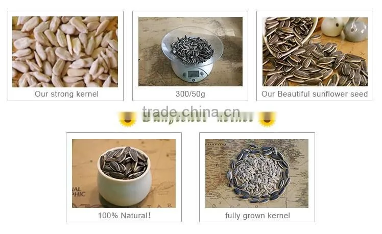 2016 hot sale high quality sunflower seed