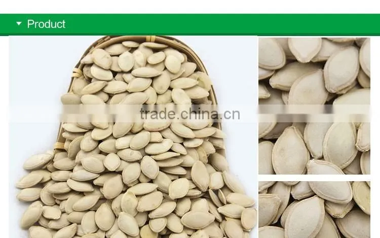 wholesale edible white pumpkin seed price