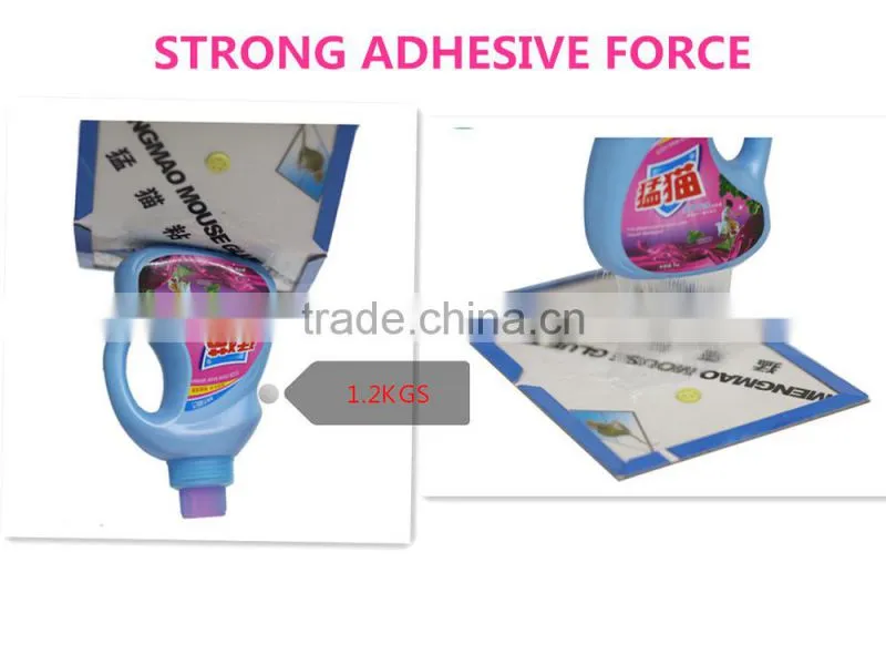 2015 HOT SELL mouse adhesive trap,glue trap adhesive (mice mouse),mouse glue trap machine