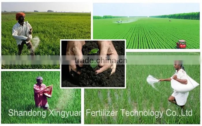 Fertilizer - DAP UREA, MAP