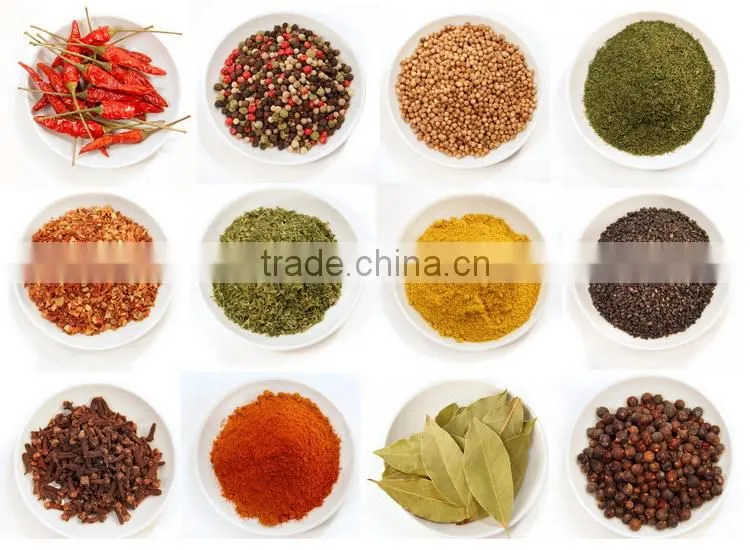Portable Electric Spice Grinder