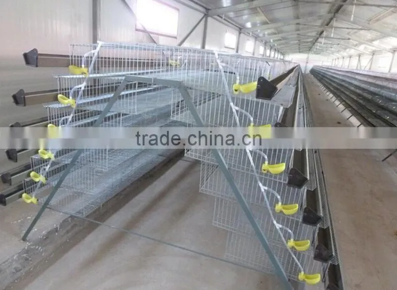 Layer Quail Cages For Sale From Direct Factory