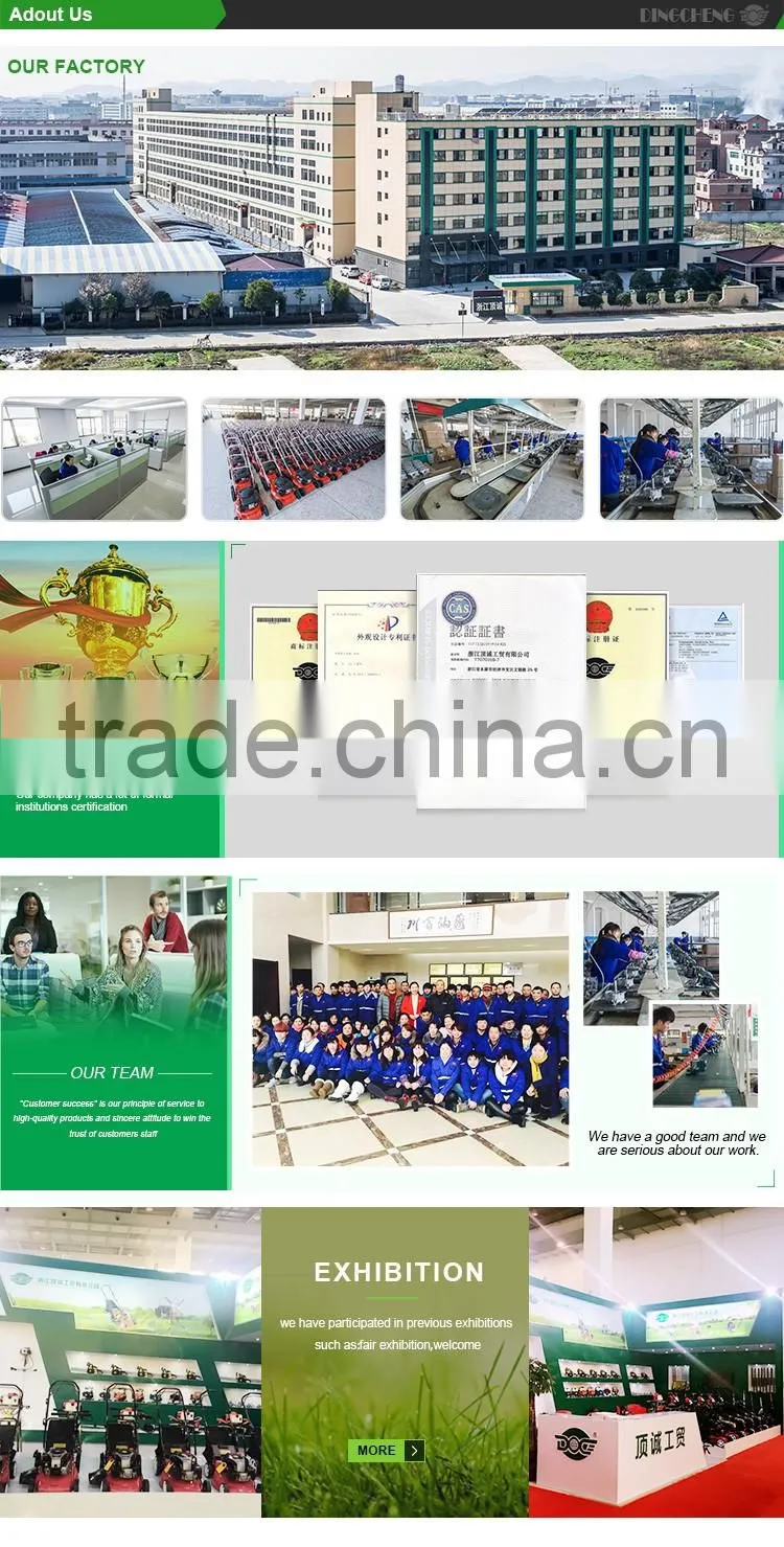 Gasoline Planting Hole Digger/Ground Drill