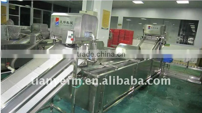 TW-307L automatical leafy vegetable washer (Video)