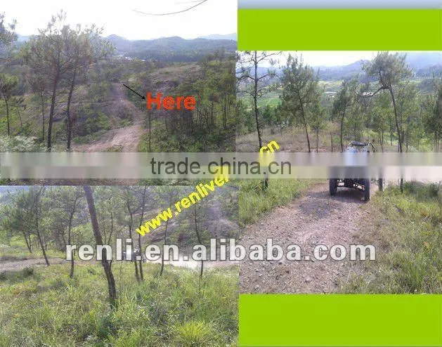1500cc fantastic buggies types made in China for sale