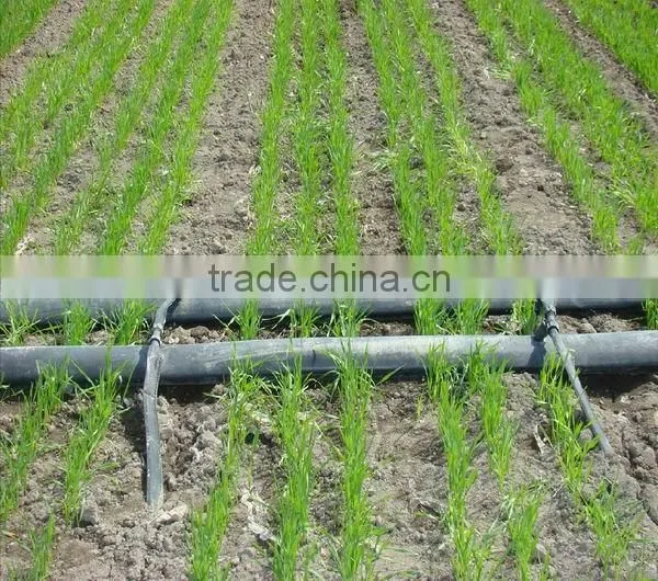 PE Pipe Material and Drain Pipe,Drip irrigation