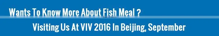 Supply Fish Meal For Buyer 65 Protein