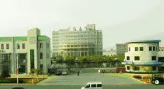 Qingdao Wuxiao Group Co.,Ltd company overview - view 1