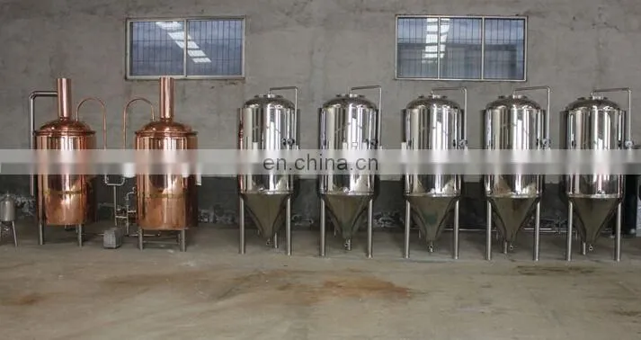 500L mini beer processing plant