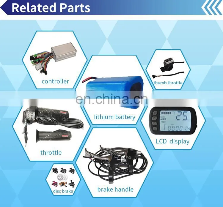High Quality 6 Inch Electric Motor for Scooter