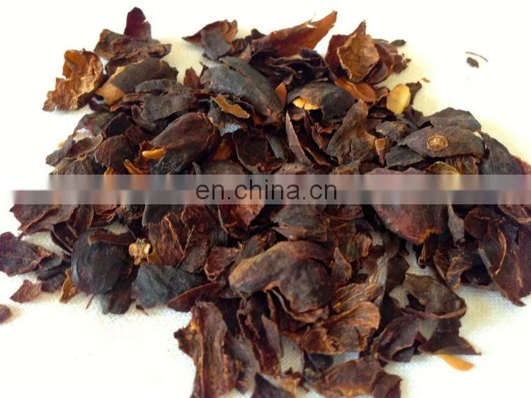 Cascara Tea /Coffee Cherry Tea