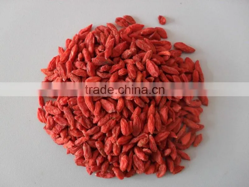 2015.2016Chinese Ningxia goji berry