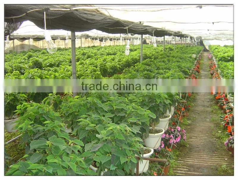 Poly Tunnel Greenhouse 5 Layers Film
