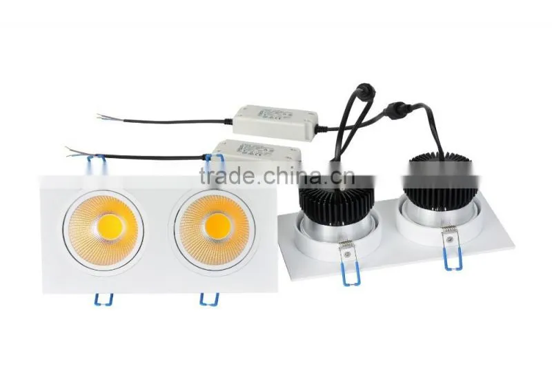 2*20W ra>80 ceiling light China hot sale COB LED downlight with CE ROHS