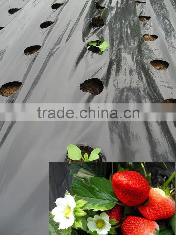china manufacture offer thin plastic mulch film/agricultural plastic clear mulch film