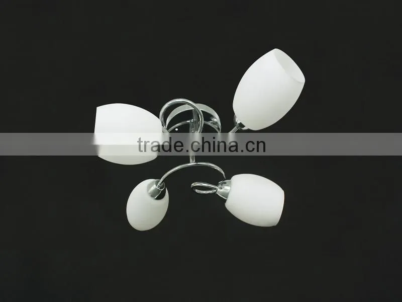 Flower lamp ceiling fixture for 2015 with new products