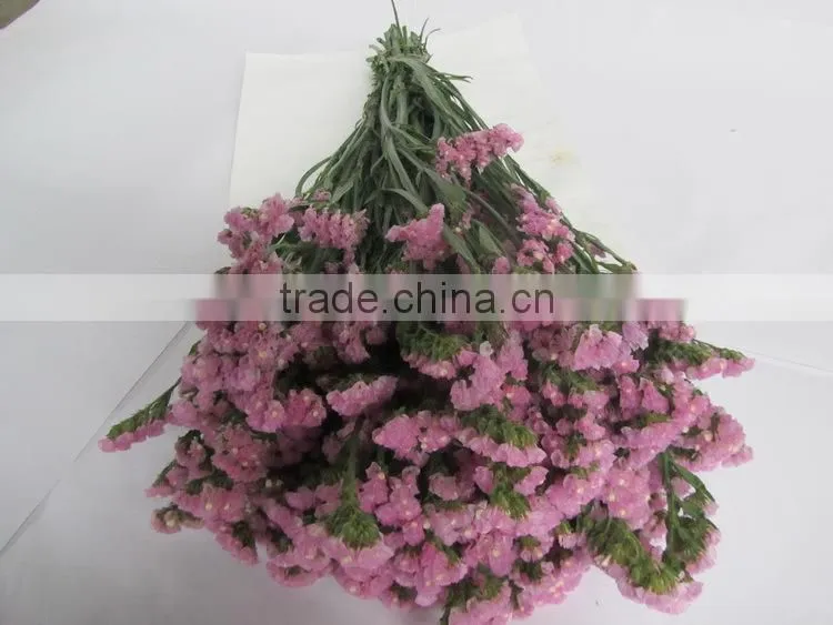 Colorful hot sale decorative supplies myosotis