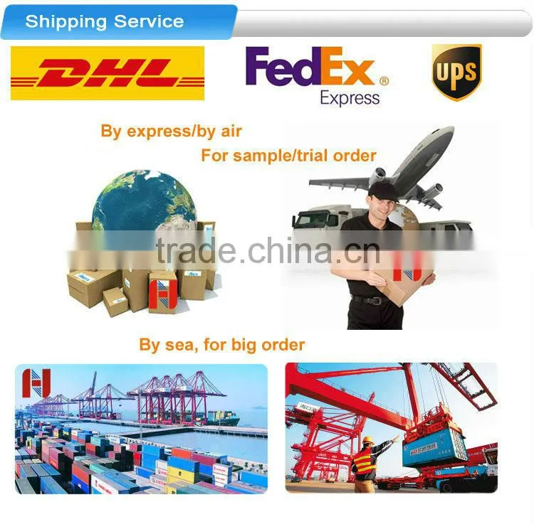 Passed ISO9001 certificate Compound Sublance Probe