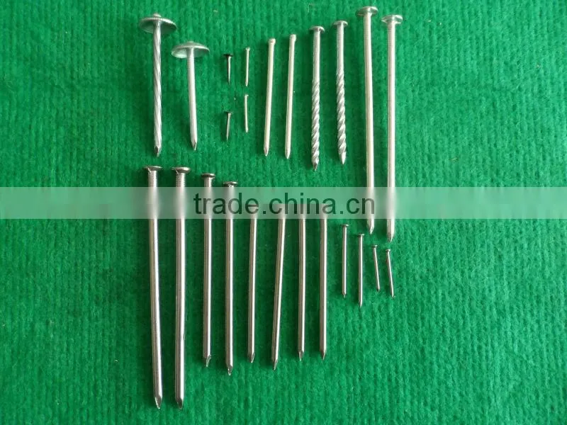 common nails manufacturer/sround common nail/stainless steel common nails