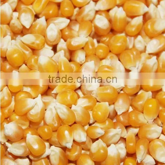 Ball shape popcorn making machine