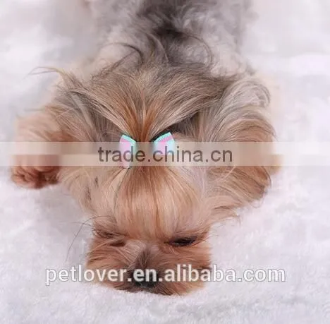 cheap stripe pet accessories dogs and cats