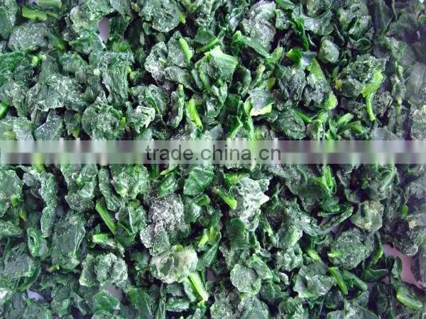 We are supply good quality IQF frozen Spinach Cut BQF