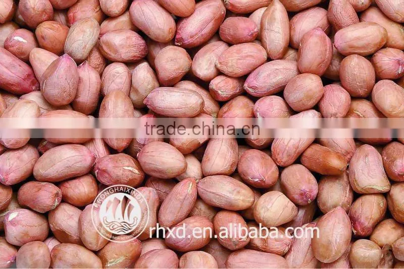 Roasted peanut in shells