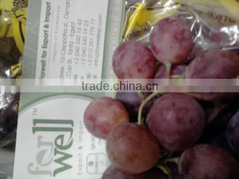 fresh crimson Grapes crops 2014